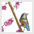 Серия: птицы