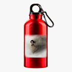 Металлическая бутылка 400 мл UV-DTF