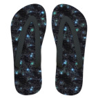 Звездная ночь