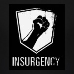 Insurgency