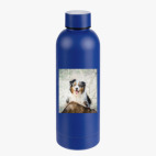 Термобутылка