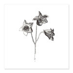 Колокольчик