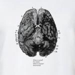 What is mind? No matter.