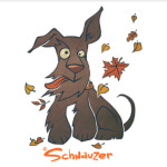 Осенний шнауцер