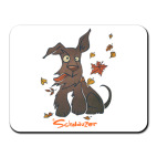 Осенний шнауцер