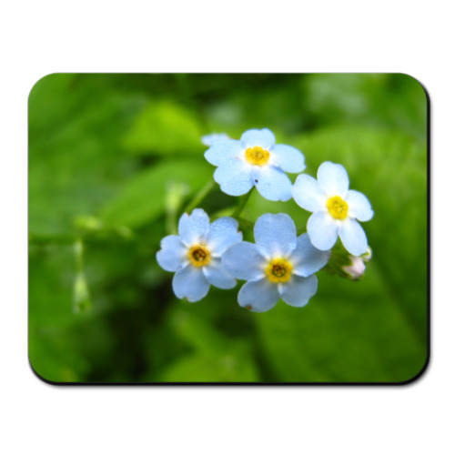 Коврик для мыши с принтом цветы