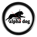 Альфа дог