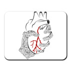 Слова ранят