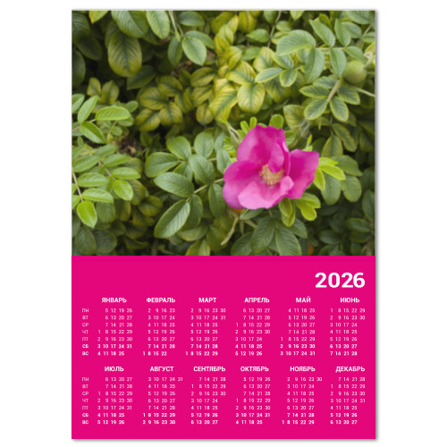 Календарь с принтом Шиповник
