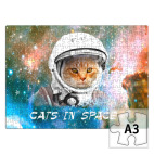 котейка космонавт