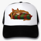Кепки Trucker