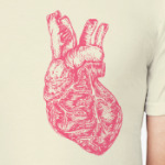 Big Heart Anatomy