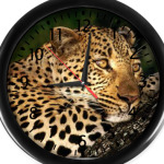 Мечтательный леопард