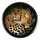 Часы (с цифрами)