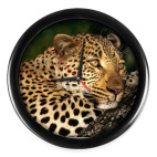 Часы (без цифр)