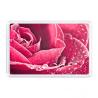 Магнит 7,5 x 5,1 см Цветы