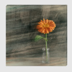 Цветок календулы #2