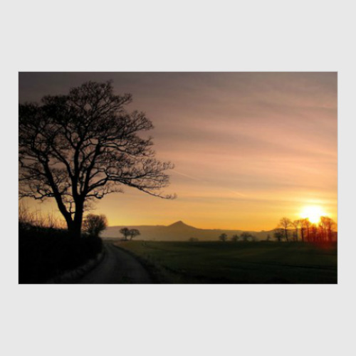 Постер с принтом Фото природы