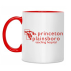 Princeton plainsboro