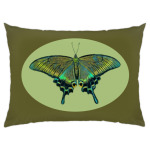 Бабочка Парусник - Махаон