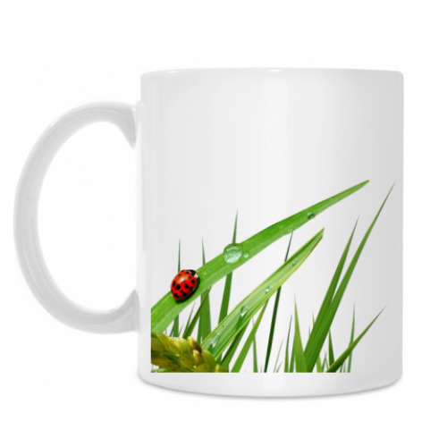 Кружка Божья коровка