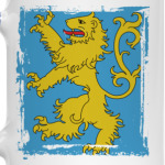 Флаг квартиры Шелдона