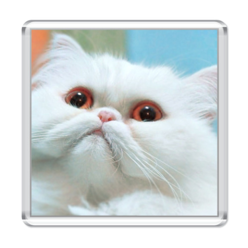 Магнит  'Белый Перс '