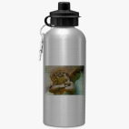 Спортивная бутылка