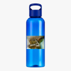 Прозрачная спортивная бутылка