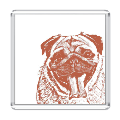 Магнит  Dog