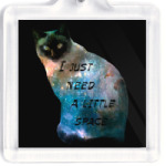 Котик космический