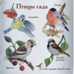 Птицы сада