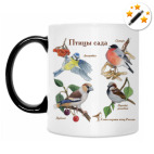 Кружка-хамелеон