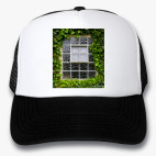 Кепки Trucker