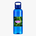 Прозрачная спортивная бутылка