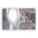 Ночная тайга