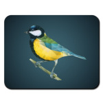 Птица Синица