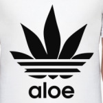 aloe