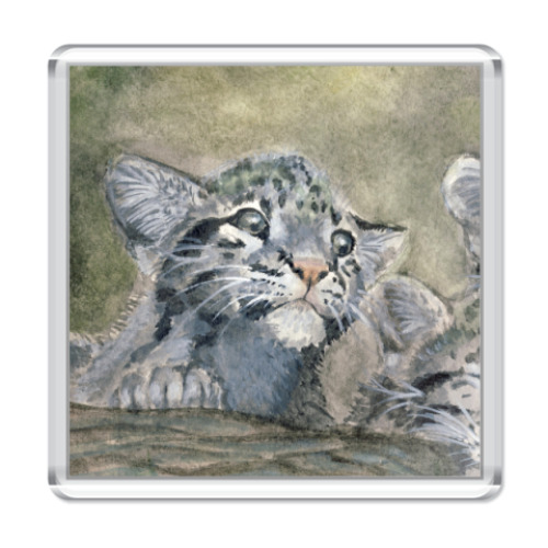 Магнит с принтом Малыш