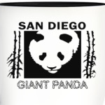 Blink-182 San Diego