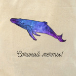 Сочиняй мечты!