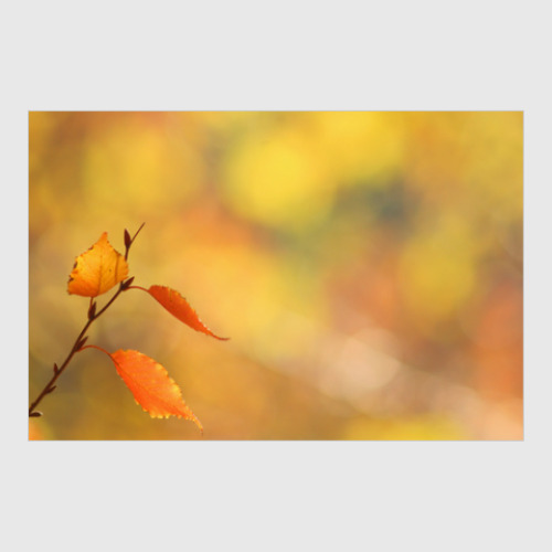 Постер с принтом Минимализм