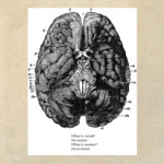 What is mind? No matter