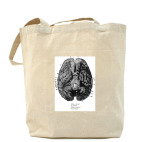 What is mind? No matter