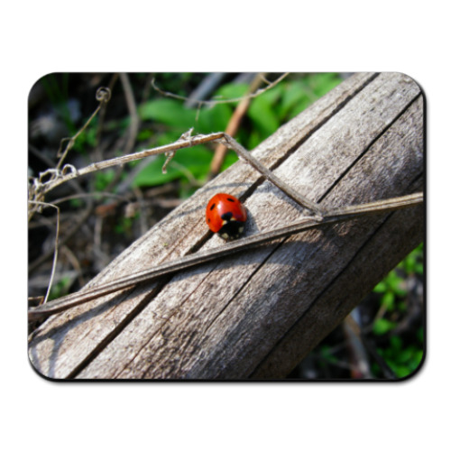 Коврик для мыши с принтом Божья коровка