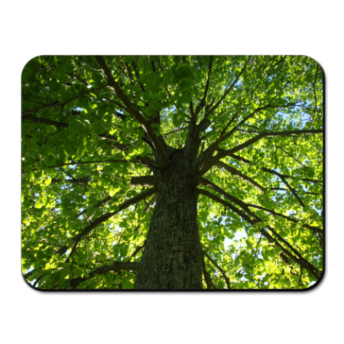 Коврик для мыши с принтом  Дерево