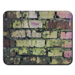 Заросшая стена мхом