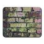 Заросшая стена мхом