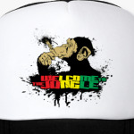 Welcome to the Jungle