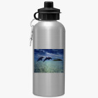 Спортивная бутылка